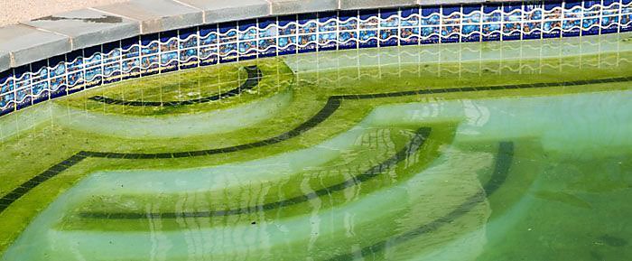 Los fosfatos: alimento de las algas en una piscina 1
